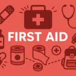First Aid for Bug Bites: What Every Prepper Should Know First_Aid